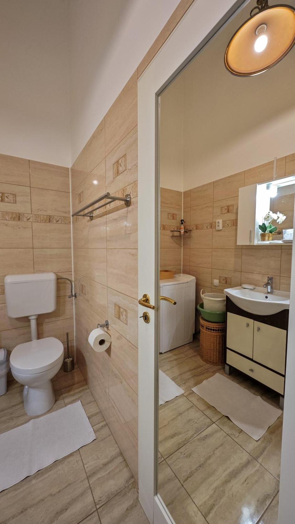 Neuhausz Residenz Ultra-Central Apartment Тимишоара Экстерьер фото
