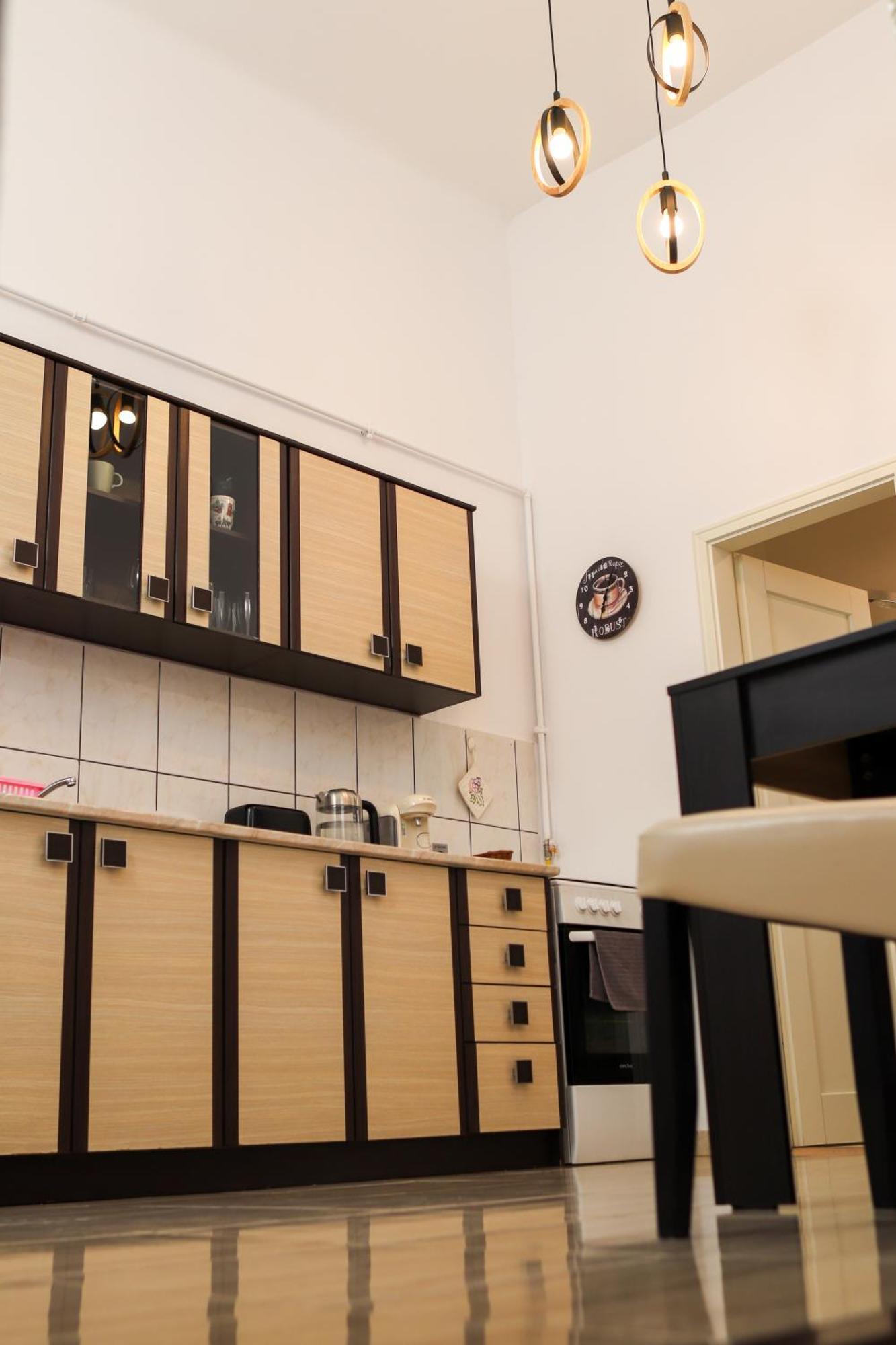 Neuhausz Residenz Ultra-Central Apartment Тимишоара Экстерьер фото
